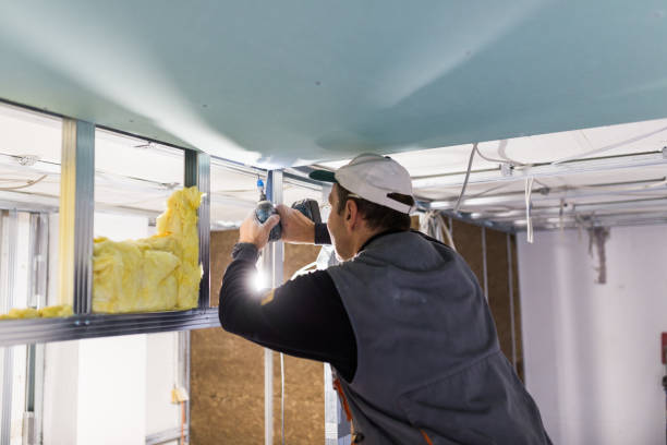 Best Residential Insulation in Myrtle Beach, SC
