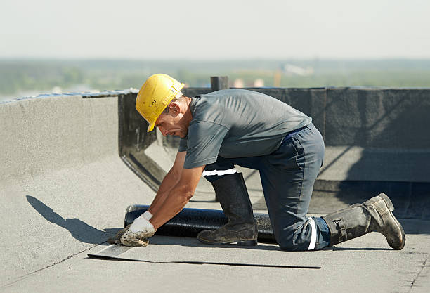 Best Specialized Insulation Services in Myrtle Beach, SC
